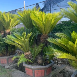 �����F��������l �㽭���^�F��a�� �Ϻ������F�����l