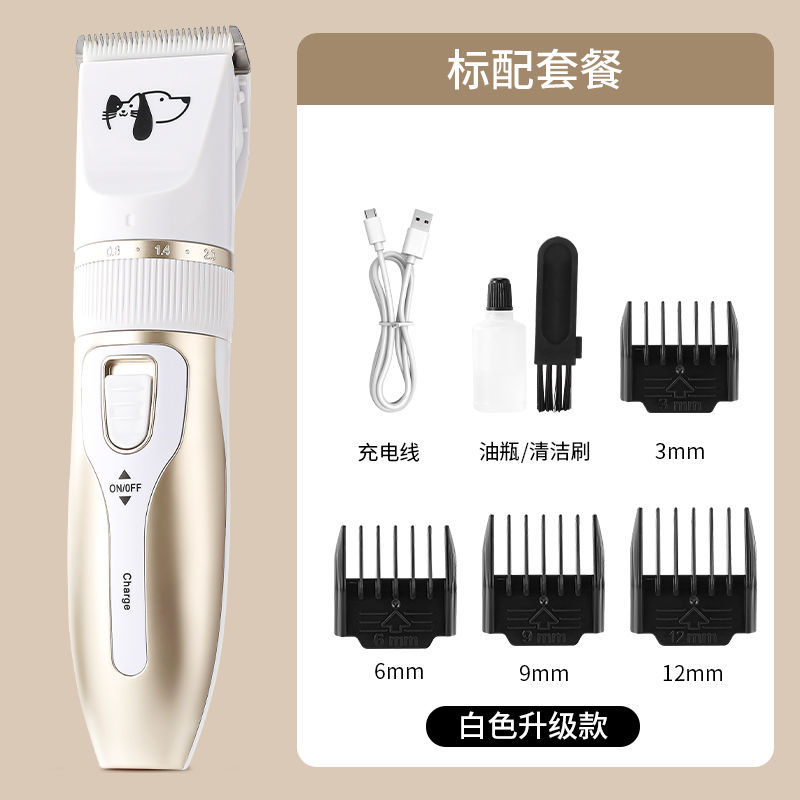 화이트 업그레이드 모델