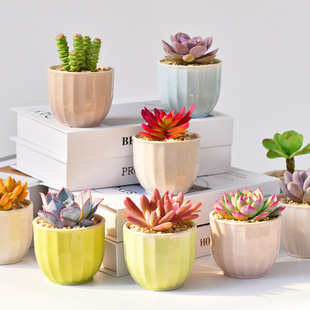 ����ֲ��M�������k���҃������մɻ���ɐۺ��B�b���С�[��