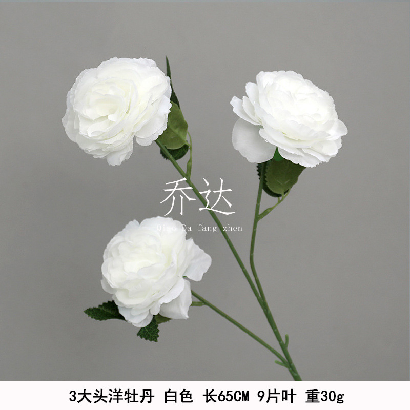 3 peonía cabeza grande