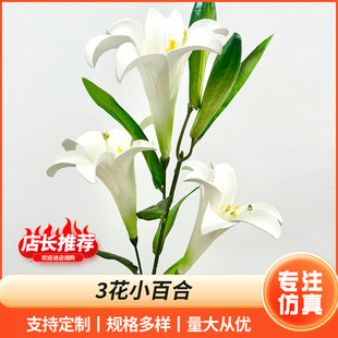 ���滨���ָд�3�^EV��ˮ�ٺ� �͏d�Ҿ��b[�������ɫ�ٺϼٻ�