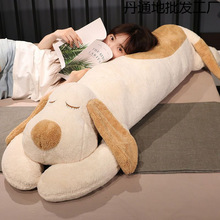 ſſëq߹żɲϴŮ˯XLl