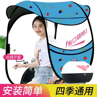 Model, Detachable Wholesale, Elektromobil üçün ön şüşə çətiri (günlük) - photographed-with-a-mirror-10th-generation-blue-ice-strawberry-zipper-front-window-default-item