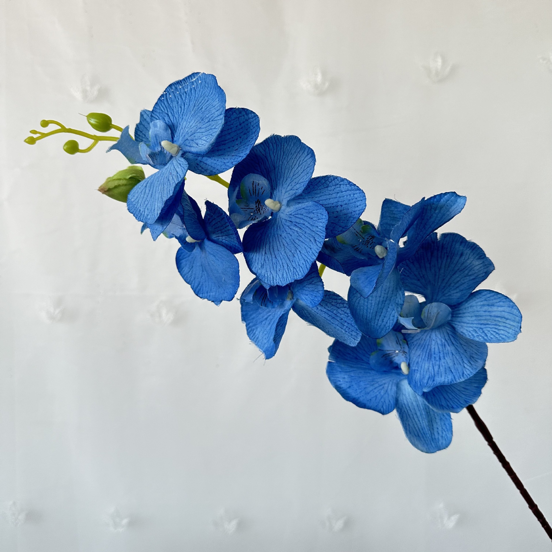 Los fabricantes suministran flores secas simuladas en la sala de estar, flores de jarrón, tela de pelo de ocho cabezas, plantas de simulación de Phalaenopsis, adornos de flores secas