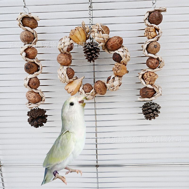 QQ图片20250331164455