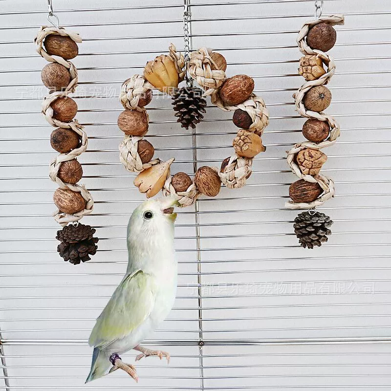 Попугай игрушка кусает игрушку