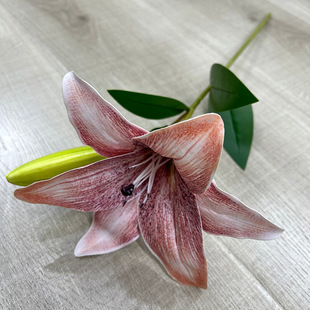 ���滨�λ��ͮ��ٺϸ߼��мٻ��ٺϻ�3D�ָл��羳���Q�ٰٺ�����
