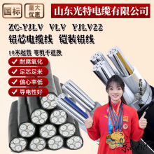 ����ZC-YJLV�Xо�z�bVLV�X����ȼ��|��1 3 4 5о70 95 185ƽ��25