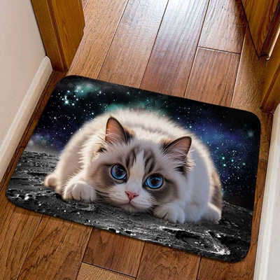 mat, bathroom absorbent skin-friendly foot mat, Avtomobil döşəmə paspasları - little-kitten-14-4060cm-crystal-velvet