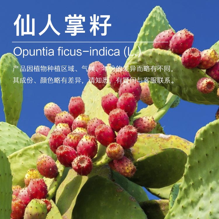 �򻨹�Ӧ���������� ���ѹե  ���������� ������ԭ�ϳ�������