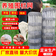 ����\�F�z�W�Bֳ�W���ھW���Pţ�ھWȦ��䓽z�W�u���B�\���o�W