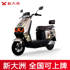 パーレイ新大洲電気自動車の大出力20a電気自動車の成人のロング航続のテイクアウトの代行の電気自動車a 27