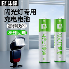 沣标5号充电电池AA镍氢电池1.2V五号液晶智能快速充电器闪光灯CCD