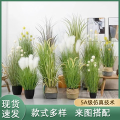 シミュレーション葦犬尾巴草洋葱草大型植物盆栽服装店ショーウインドー着地装飾緑植鉢植え