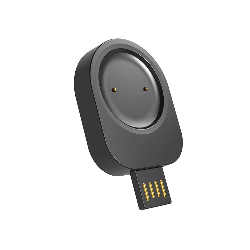Подходит для моих портативных USB-зарядных устройств Amazfit GTR mini Huami активные часы/бренд?