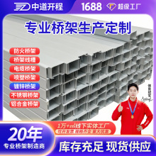 ��\��|��ܟ���\���P䓷������ܟ���\��ʽ���پ���200* 100