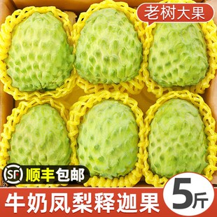 ��ȹ����r����֦5���Ŀ�P��ţ�̷��^������Ħ�������ˮ��3��S