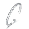 Z94 (Vegetarian silver)