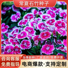 ʯNͥԺNӷ㻨NļN׻＾ݷN