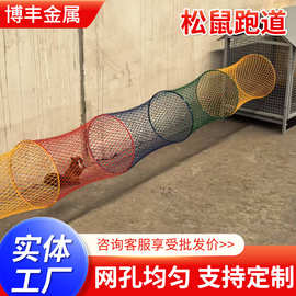 松鼠跑道笼子镀锌安装景观隧道方便投喂宠物展示赛道圆形钢丝网