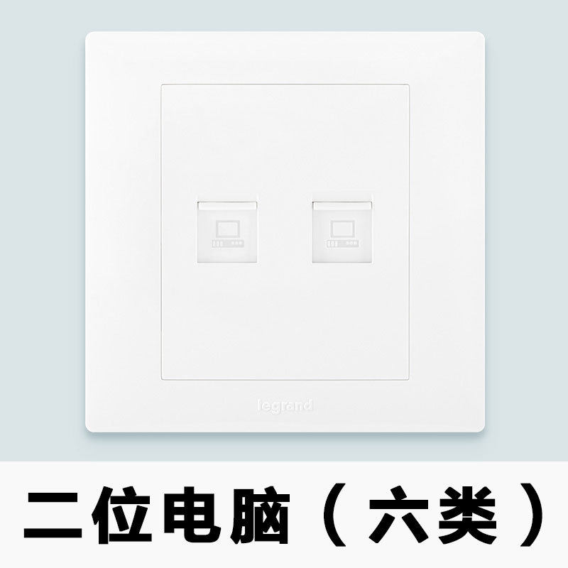 Two-bit computer plug (six types)