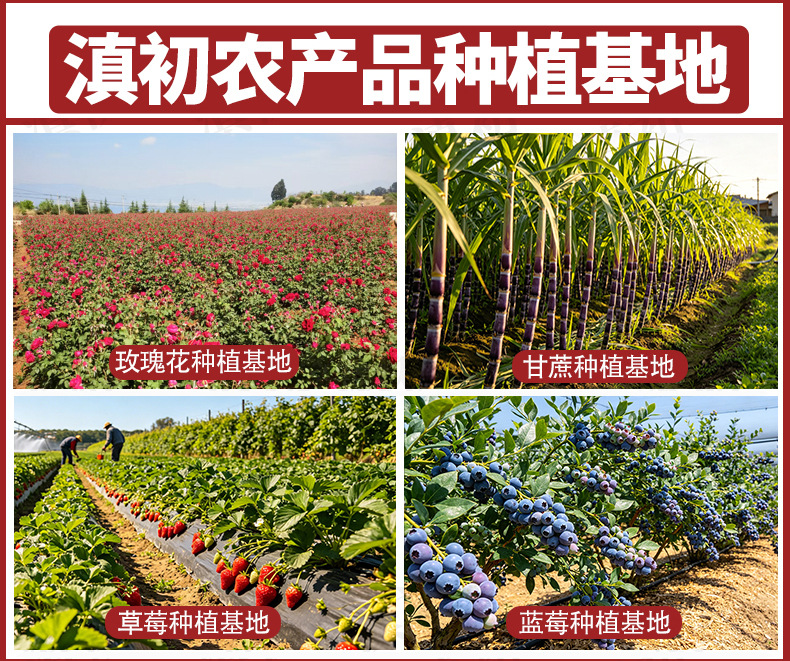 Organic Rose Honey Paste Yunnan Dianhong Rose Jam for Baking and Dessert Fillings 250g overview