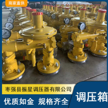 楼栋式燃气调压柜现货 城镇调压箱天然气减压撬 燃气调压阀安全