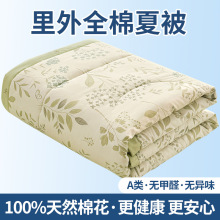 2026�¿�A�����ȫ���ě������{�������ļ��׏S��ֱ��