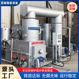 Pet Hospital Carcass Incineration, Farm Animal Carcass Incinerator, High Temperature Incineration Pet Incineration Cremator