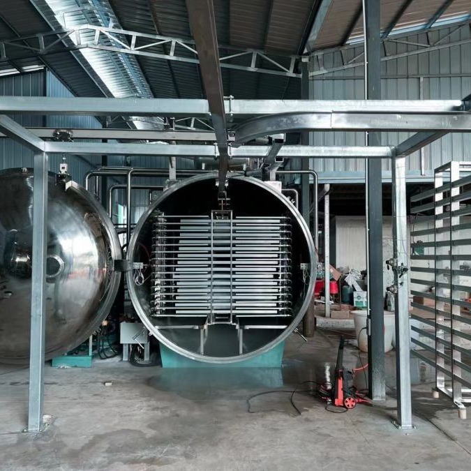 无花果鲜果冻干设备  奶粉真空冷冻干燥机  咖啡冷冻干燥设备