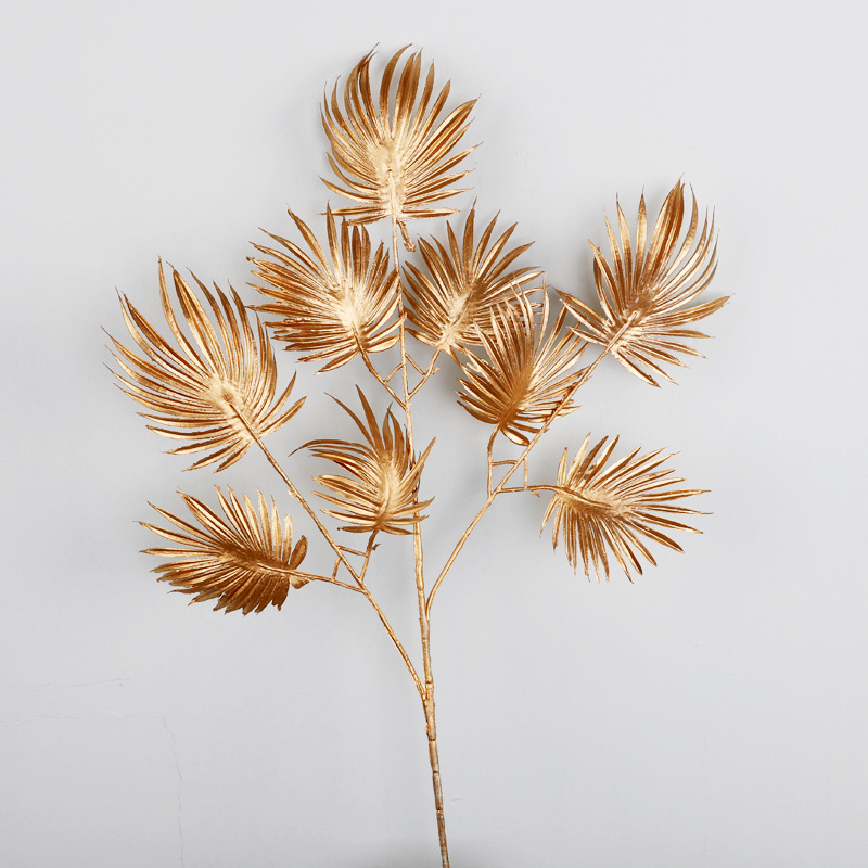 3叉铁丝兰,高73,叶径9