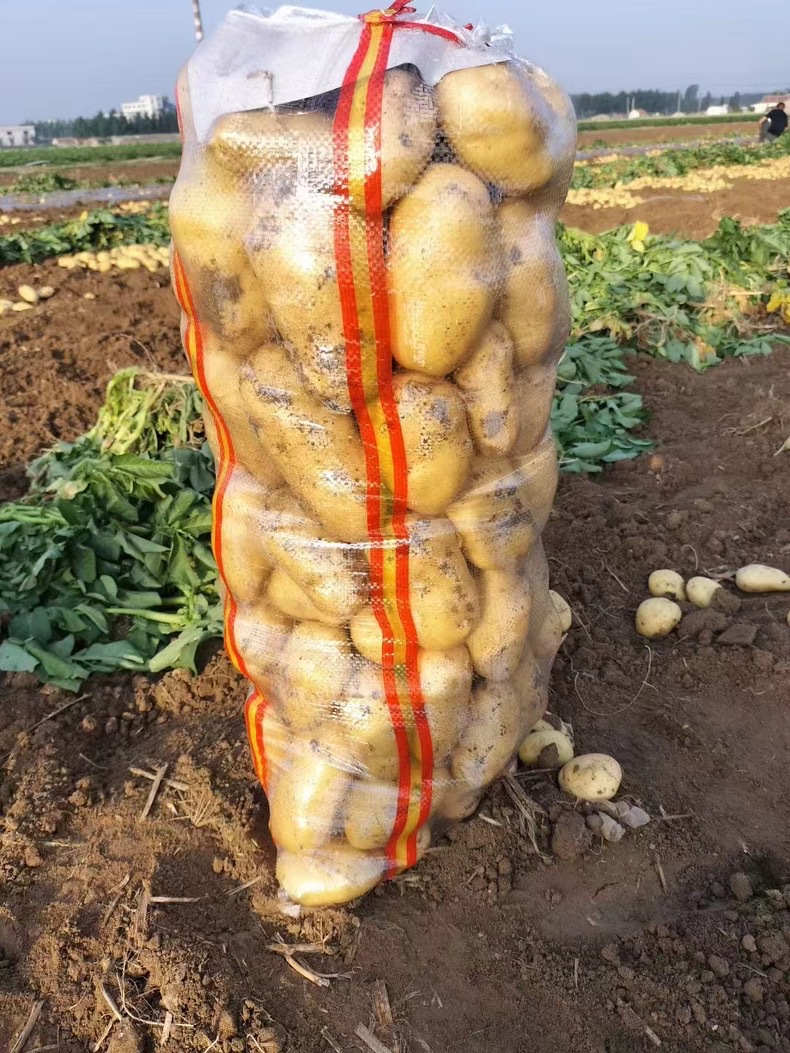 微信图片_20251107111814_48_567