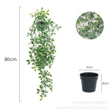 �������ϾGֲ�Ғ����� �����_ �����辰 �҃��b��辰 ��������