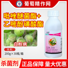 �P�N 25%�������׷ӻ����� ���Ѱ׷۲� �rș������200ml