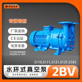博远定制2BV5110/11/21/31/61水环真空泵304耐腐工业抽真空负压泵