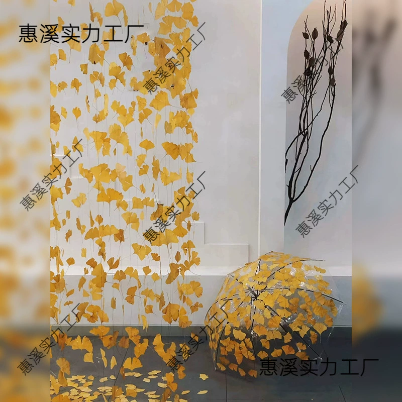 Осенняя витрина магазина