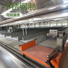 地槽养殖黑水虻机械化饲养低成本养殖-自动铺料-出料-筛虫