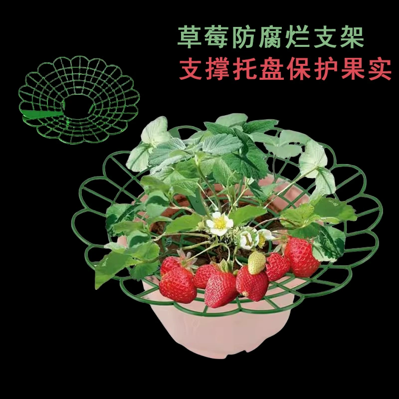 Овощная земляничная стойка круглый поддон держатель для защиты от пола до пола