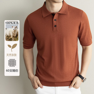 ���Ķ���T���I����60��������ë�əCϴ�������I���ᘿ�POLO��