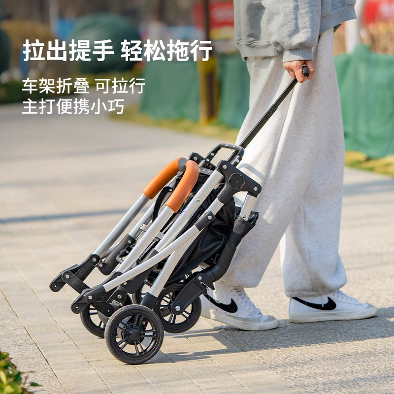 Carrito Plegable para Mascotas de Metal, Desmontable y Ligero para Paseo