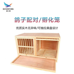 ������Ʒ�����䌦�\ľ��  ��ľ�Ϸ��T�������� �N�����䌦�\���l