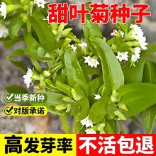 ~շN߲˻N̨ͥԺ҃ļN_