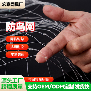 ���l�������B�W���@���o�Wֲ����o�����Bֳ�W�r�I��W���@���B�W