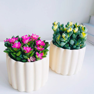 ¹�Ǻ����\��ѩ֮���\����ֲ��M���̨����Gֲ�����������ֺ��B