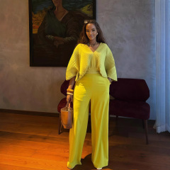 欧美跨境女装2025秋季新款纯色V领压褶宽松上衣收腰直筒裤两件套