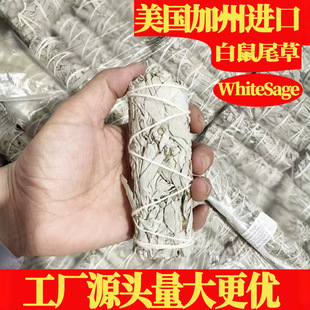 �������ݰ���β���{��β����޹������Ѭ��������g����white sage