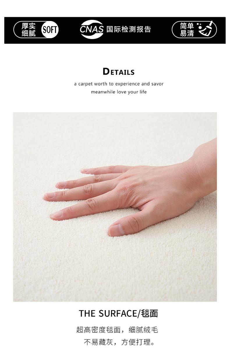 Winter Cream Style Living Room Carpet Thickeneded Plush Accessible Luxury High-End Coffee Table Blanket Pure Color Bedroom Floor Mat Wipeable and Washable