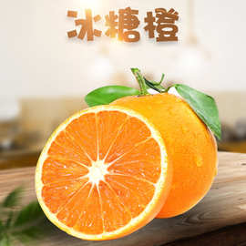 湖南麻阳冰糖橙 代发3/9斤新鲜爆甜多汁甜橙子当季水果非赣南脐橙