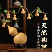 ���J�lؔ��һ�������߂����J����Ȼ���J���w�Ҿ��Ʒ�լ�[��