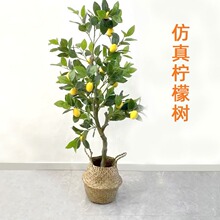 仿真橘子树北欧风ins柠檬树盆栽假植物室内客厅装饰摆件盆景假树